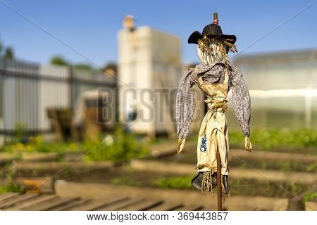Smiling Bogeyman In A Garden Or Field Against A Blue Sky. Bright Sunny Summer Day. Shallow Depth Of 