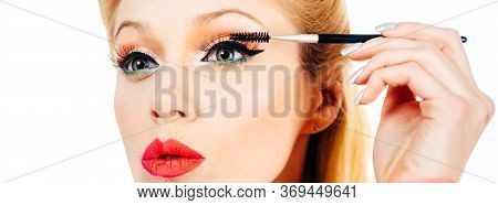 Eyebrows With Tweezers Close Up. Cosmetic For Eyebrows. Close Up Of Brown Woman Eye With Beautiful B