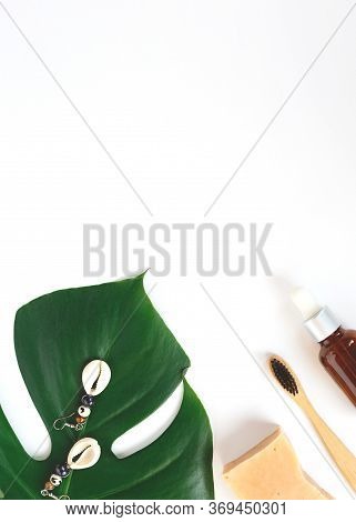 The Concept Of Zero Waste. Bamboo Toothbrush, Monstera Leaf