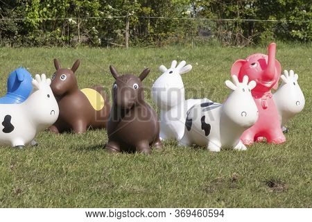 A Herd Of Inflatable Hopper Toys In The Field. Green With Yellow Flowers Pasture, Trees In The Backg