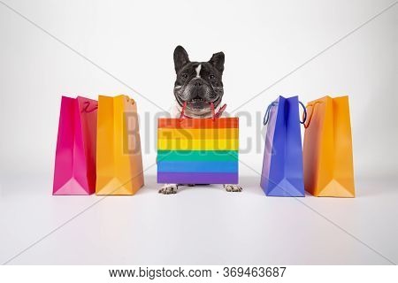 French Bulldog Dog With Shopping Bags Ready For Sale And Sale In The Mall, Isolated Image On White B