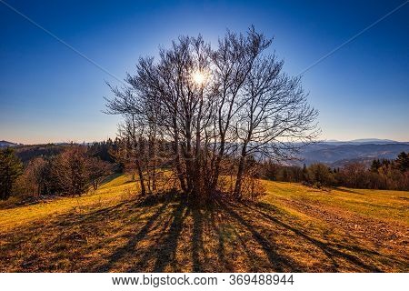 Mountainous Landscape With Trees At Sunset. Kysuce Region In The North Of Slovakia, Europe.