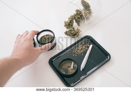 Grinder And Cannabis Weed Bud. Marijuana Nature Bud. White Background. Kief In Grinder Close Up Vert