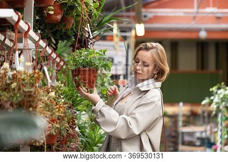 Woman Choosing Duchesnea Indica Houseplant For Her Home/apartment In Greenhouse Or Garden Center, To