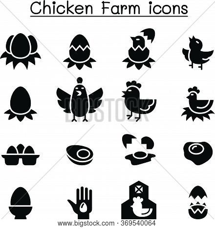 Egg & Chicken Farm Icon Set Vector Illustration Graphic Design