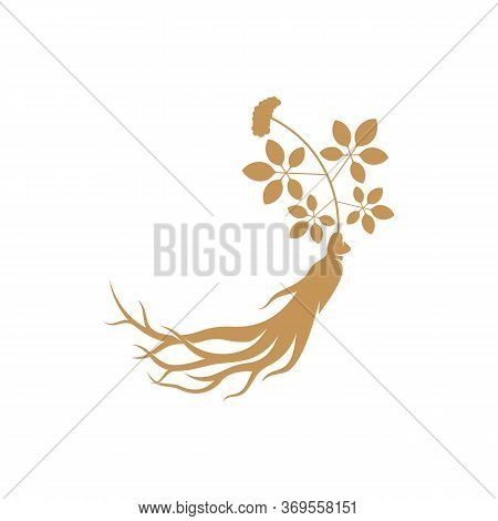 Ginseng Logo Design Vector Template. Ginseng Root On White Background