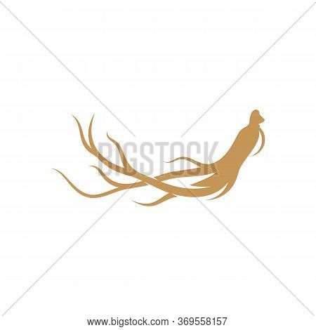 Ginseng Logo Design Vector Template. Ginseng Root On White Background