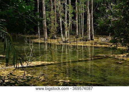 Krabi, Thailand - January,  2014: Khao Pra Bang Khram Wildlife Sanctuary