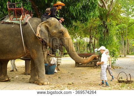 Koh Chang, Thailand - January, 2013: Elephant Trekking On Koh Chang, Thailand
