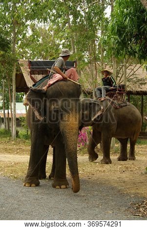 Koh Chang, Thailand - January, 2013: Elephant Trekking On Koh Chang, Thailand