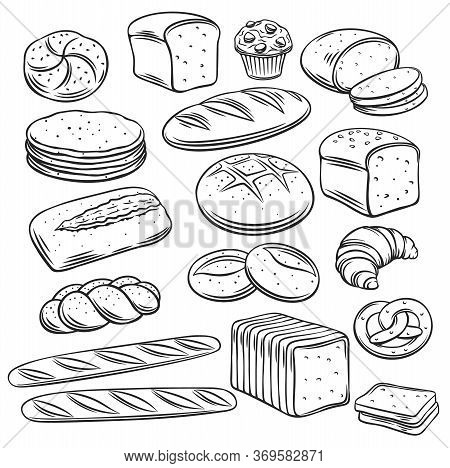Bakery Breadoutline Vector Of Rye, Whole Grain And Wheat Bread, Pretzel, Muffin, Pita , Ciabatta, Cr