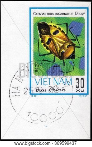 Saint Petersburg, Russia - May 31, 2020: Postage Stamp Issued In The Vietnam With The Image Of The M