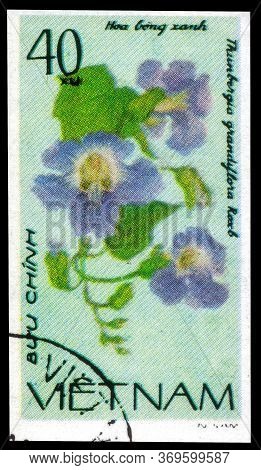 Saint Petersburg, Russia - May 31, 2020: Postage Stamp Issued In The Vietnam With The Image Of The B