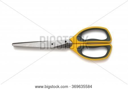 Kitchen Scissors With Multiple Blades Isolated On A White Background. Kitchen Appliance.