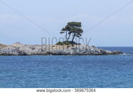 Trees At Amarantos Rocks At Skopelos Island At The Sporades In Greece