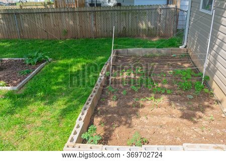 Victory Garden During Coved-19 In York, Pa