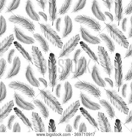 Freehand Drawing Quill Of Fethers Birds. Tribal Seamless Pattern. Isolated On White Background In Gr