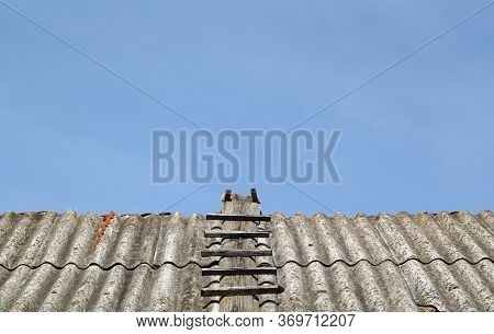 Old Wood Ladder On Top Of House Roof. Architectural Background