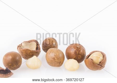 Macadamia Nuts On White Background - Macadamia Integrifolia