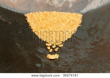 Přírodní Rýžoviště zlata