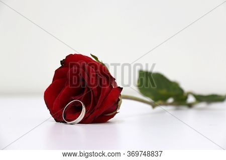 One Ring And Red Color Of Rose With Green Leaf On The White Floor. The Concept Of Love Or Valentine.