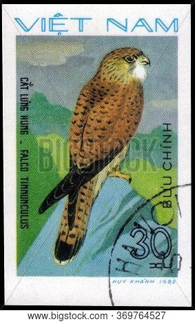 Saint Petersburg, Russia - May 31, 2020: Postage Stamp Issued In The Vietnam With The Image Of The C