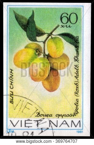 Saint Petersburg, Russia - May 31, 2020: Postage Stamp Issued In The Vietnam With The Image Of The P