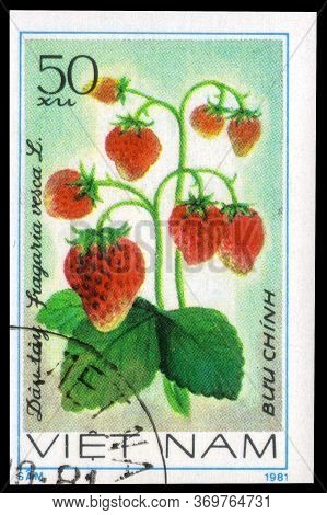 Saint Petersburg, Russia - May 31, 2020: Postage Stamp Issued In The Vietnam With The Image Of The S