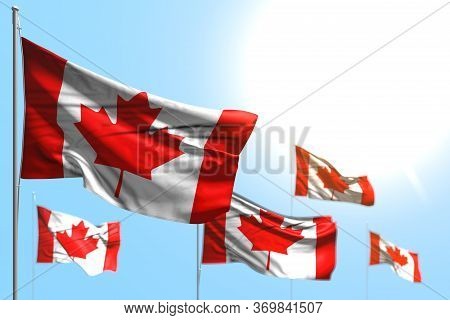 Nice 5 Flags Of Canada Are Waving Against Blue Sky Photo With Selective Focus - Any Celebration Flag