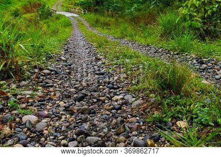 Rural Cobblestone Road In The Middle Of The Amazon
