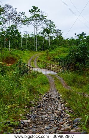 Rural Cobblestone Road In The Middle Of The Amazon
