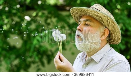 Lonely Grandpa Blowing Dandelion Seeds In Park. Mental Health. Tranquility And Serenity. Harmony Of 