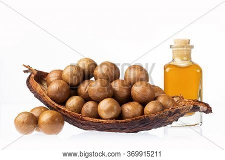 Macadamia Integrifolia - Nuts And Macadamia Oil
