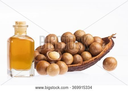 Nuts And Macadamia Oil - Macadamia Integrifolia.