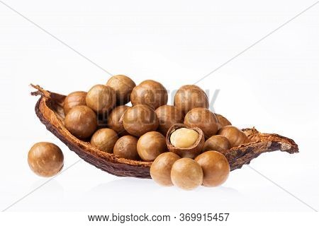 Organic Macadamia Nuts - Macadamia Integrifolia. White Background