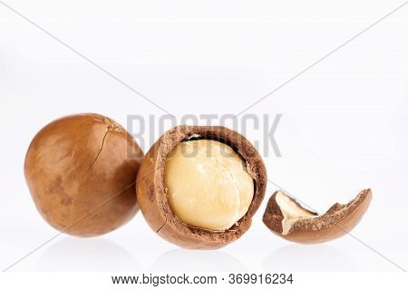 Organic Macadamia Nuts - Macadamia Integrifolia. White Background