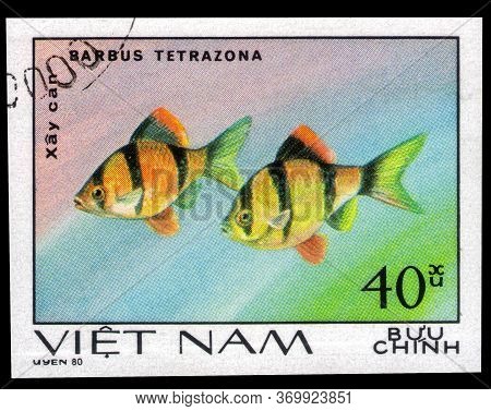 Saint Petersburg, Russia - May 31, 2020: Postage Stamp Issued In The Vietnam With The Image Of The T