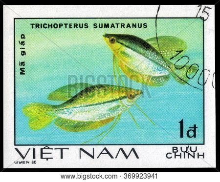 Saint Petersburg, Russia - May 31, 2020: Postage Stamp Issued In The Vietnam With The Image Of The P