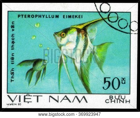 Saint Petersburg, Russia - May 31, 2020: Postage Stamp Issued In The Vietnam With The Image Of Fresh