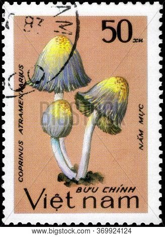 Saint Petersburg, Russia - May 31, 2020: Postage Stamp Issued In The Vietnam With The Image Of The C