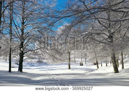 winter forest in mountains of Sicily tourism outdoor activity