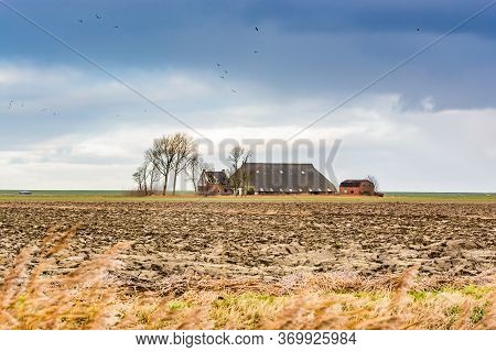 Warffum, Netherlands - January 10, 2020. Old Farm In The Middle Of The Field On Flat Surroundings Ne