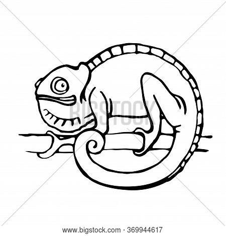 A Chameleon In The Form Of A Circle Sits On A Branch Vector Illustration With Black Contour Lines Is