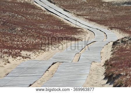 Wooden Path Leading Through Dunes At Nagliai Nature Reserve Near Nida, Curonian Spit, Lithuania