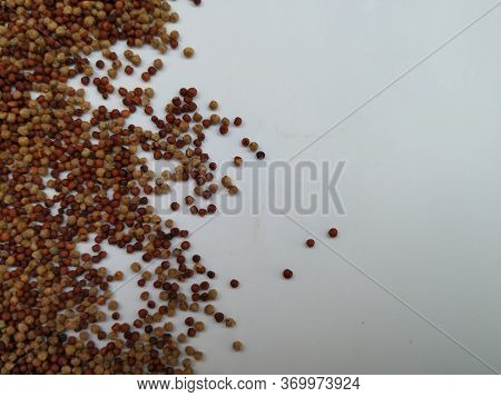 Raw Ragi/finger Millet Is A Rich In Protein, Fiber, Calcium, Iron, Prevents From Osteoporosis And Ch