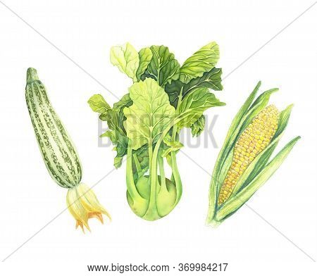Set Of Fresh Green Vegetables Isolated On White Background. Zucchini, Cabbage Kohlrabi, Corncob With