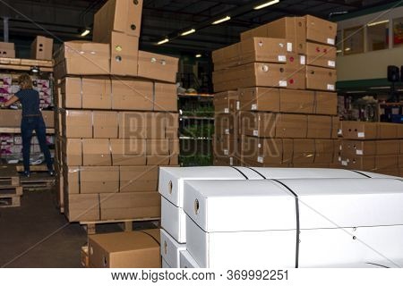 Flower Auction. Flowers Packed In Boxes And Ready For Export.