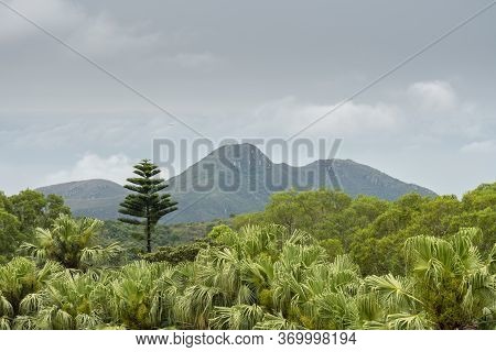 Trees And Mountains On Lantau Island, Hong Kong