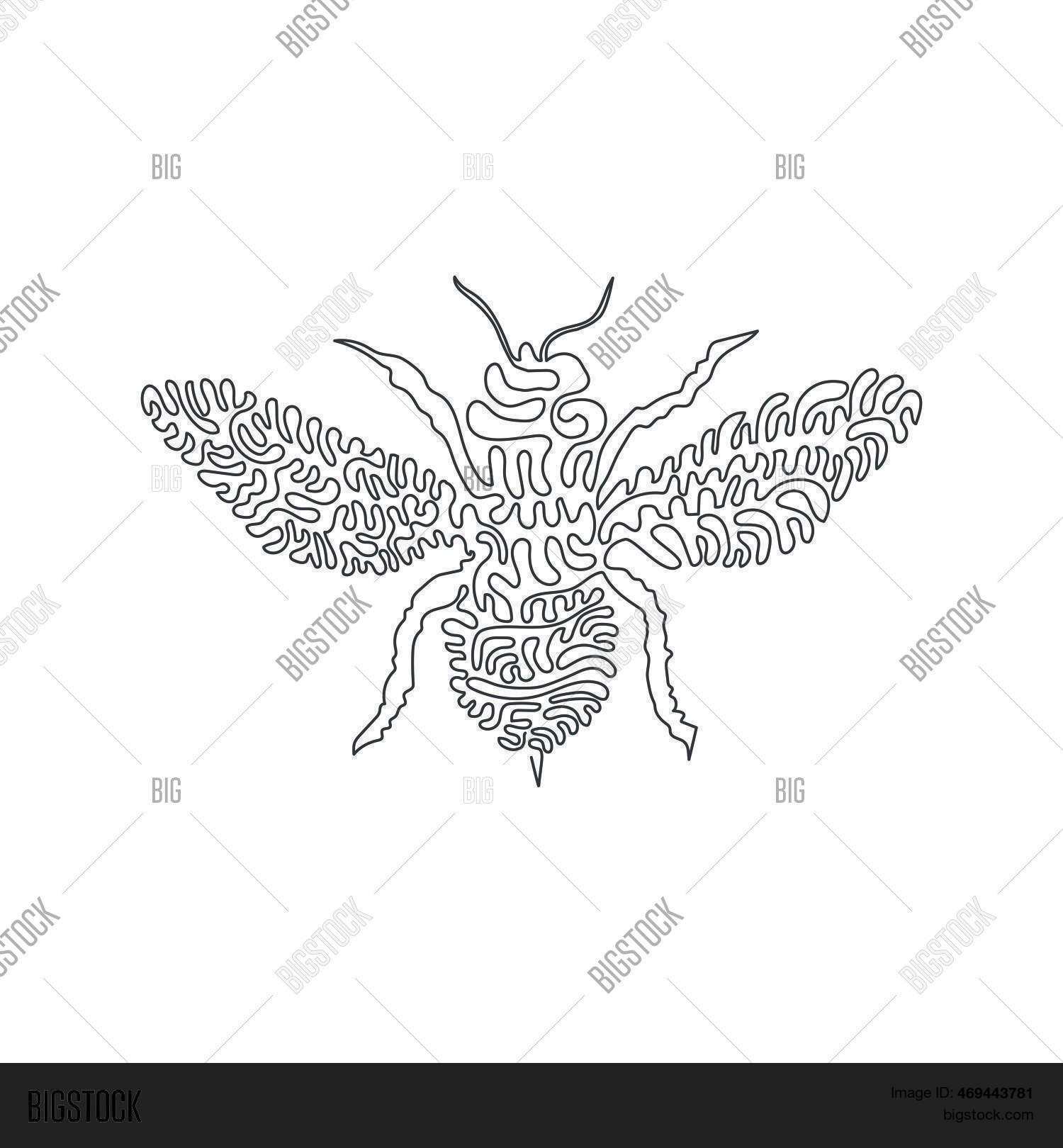 Single One Line Vector & Photo (Free Trial) | Bigstock