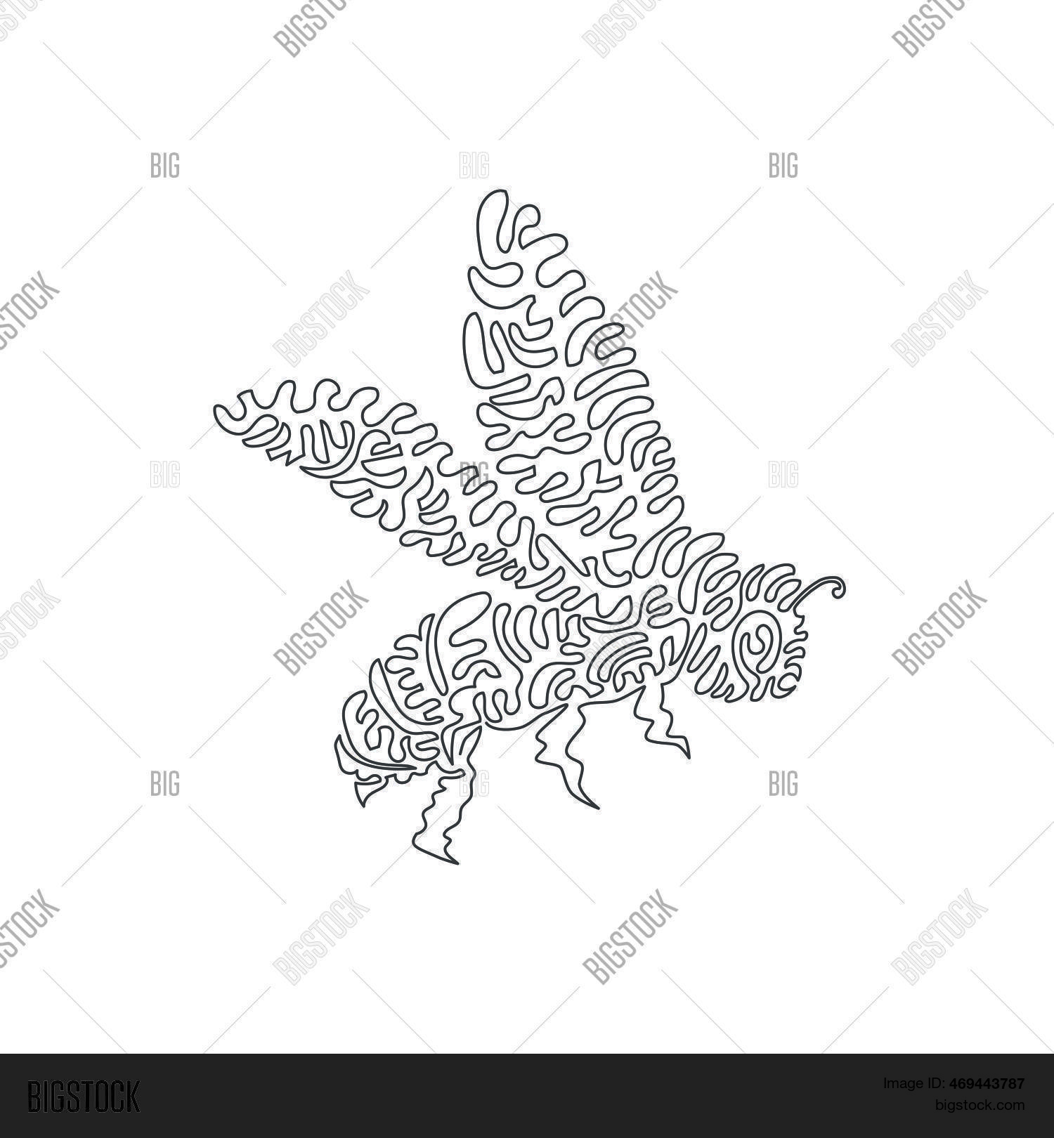 Continuous Curve One Vector & Photo (Free Trial) | Bigstock